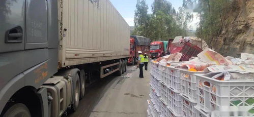 拖掛車側翻 沃柑灑落一地，華坪民警20小時緊急救援彰顯責任擔當